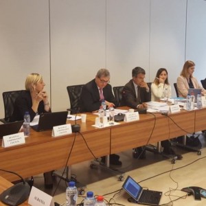 SEE 2020 Monitoring Committee discusses initial findings of the SEE 2020 Strategy Annual Report on Implementation at its 4th meeting in Brussels, 30 May 2017 (Photo: RCC/Nedima Hadziibrisevic)