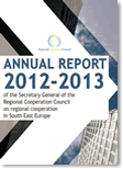 RCC Annual Report 2012-2013