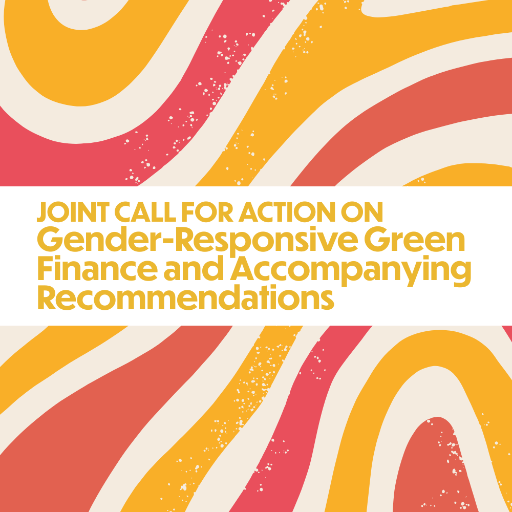 Joint Call for Action on Gender-Responsive Green Finance and Accompanying Recommendations