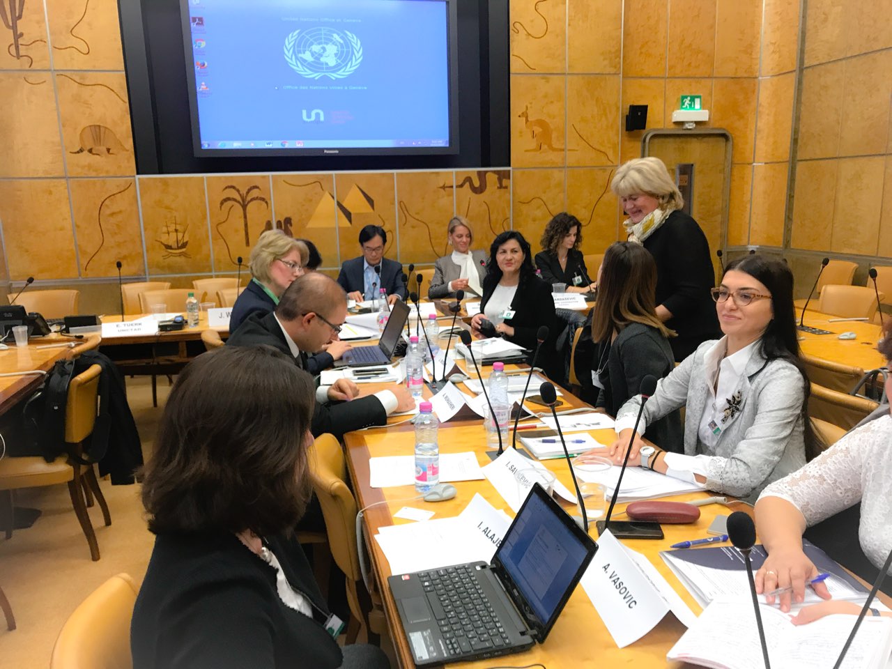 SEE International Investment Agreements negotiators gathered for the first time ever, under the umbrella of the RCC, to talk about the main issues of existing network of IIAs in the region and draft the proposals for their modernization and upgrade, on 12 October 2017, in Geneva. (Photo: RCC)