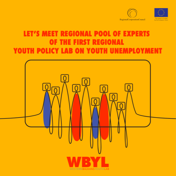 Pool of Experts of the first Regional Youth Lab