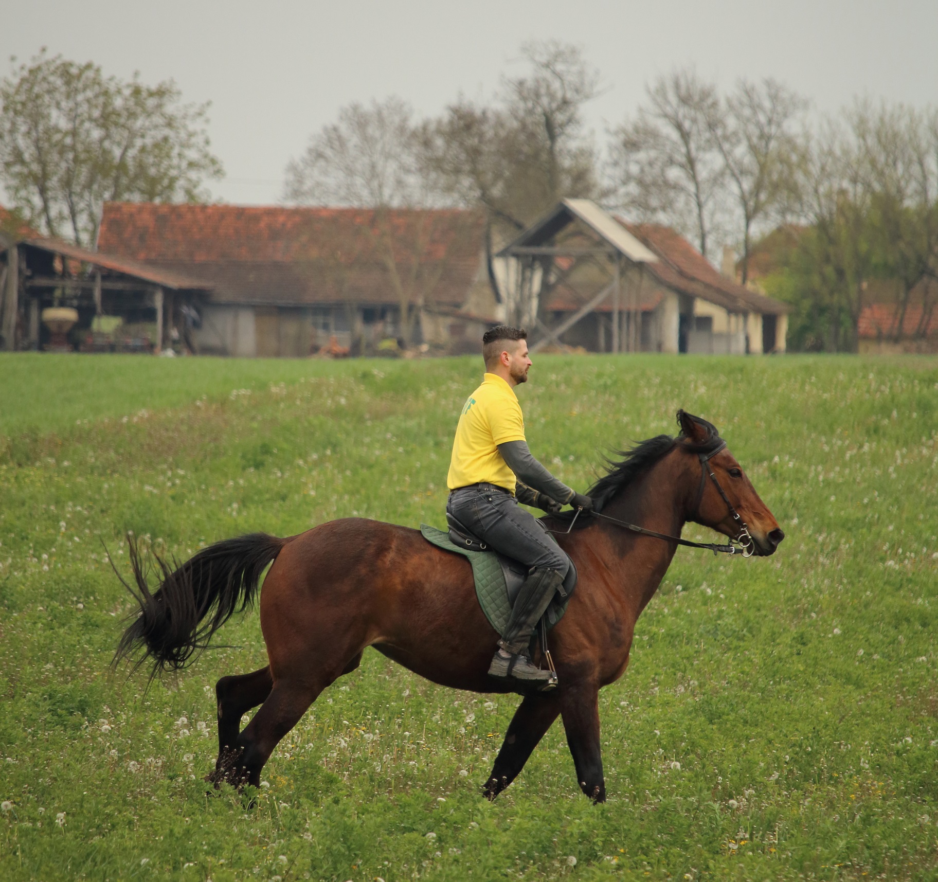 Horseback Riding Trail Across the Balkans, Grant fact Sheet