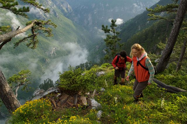 Tara Canyon and its forest are an endless source of adventure. (Photo: Centre for Sustainable Tourism Initiatives - CSTI)