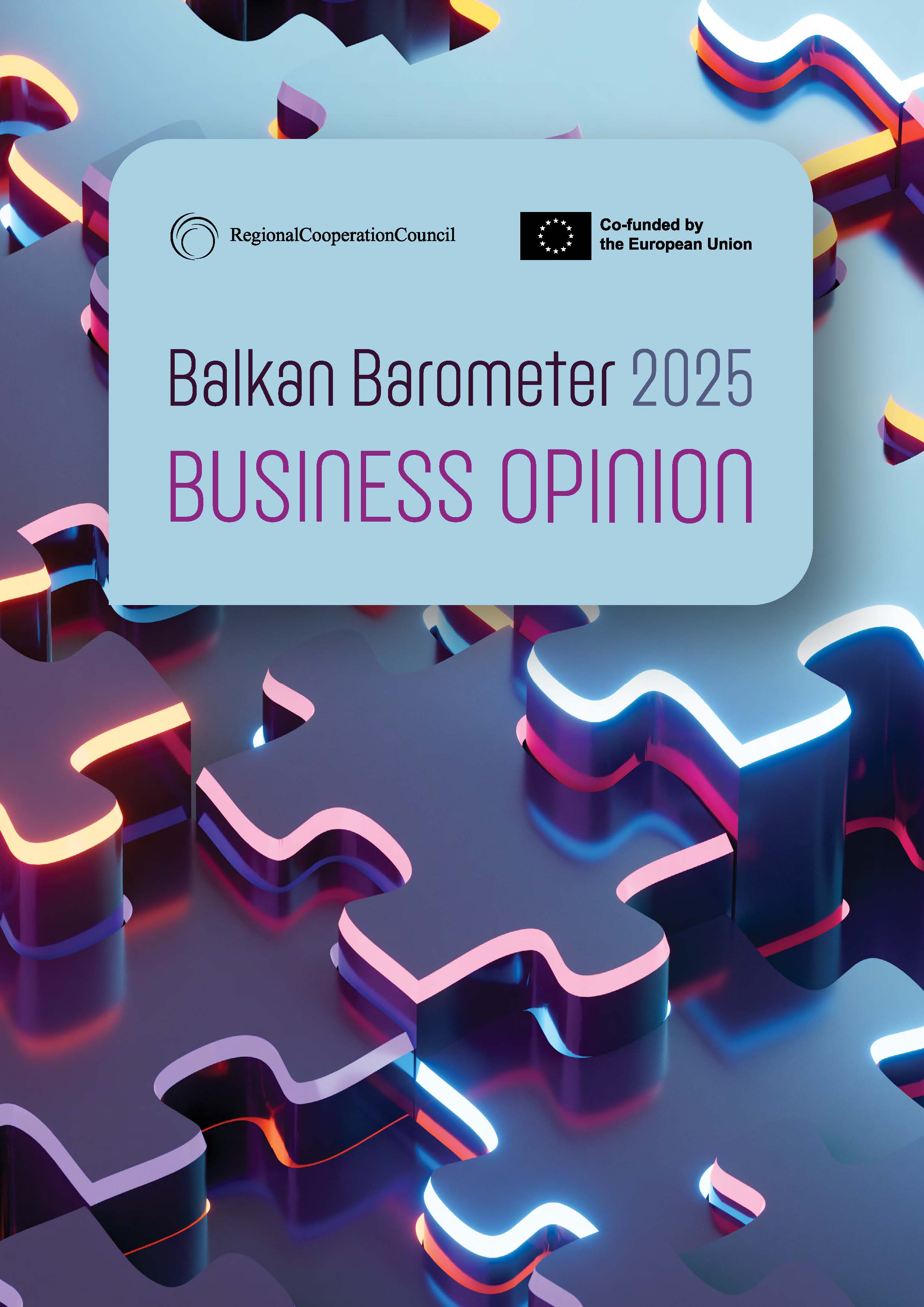 Balkan Barometer 2025: Business opinion
