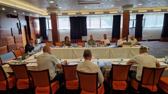 IISG thematic consultation to complete the third Annual Response Mapping Report, initiate the second needs mapping process and further develop the IISG Database in Sarajevo on 17 May 2024 (Photo: RCC/IISG)