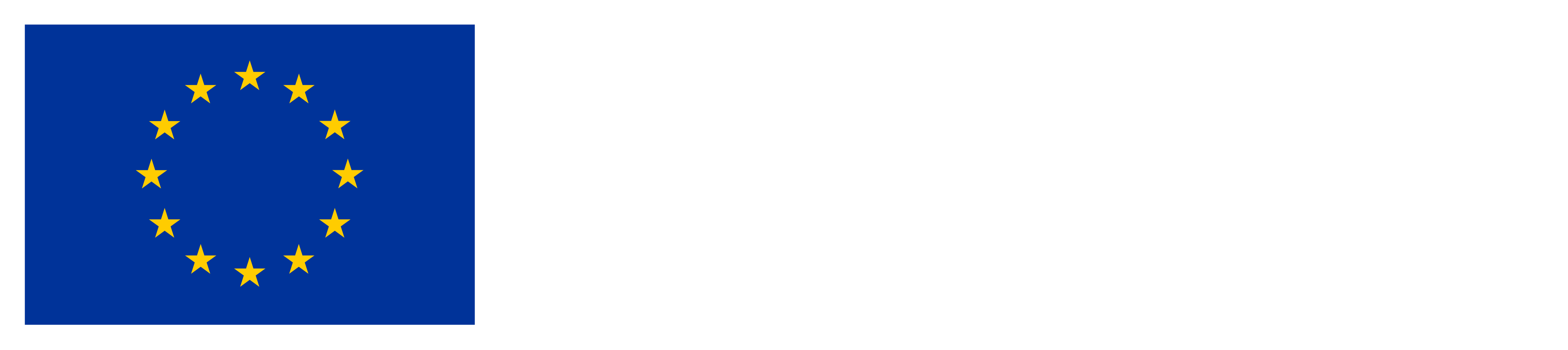 EU Disclaimer