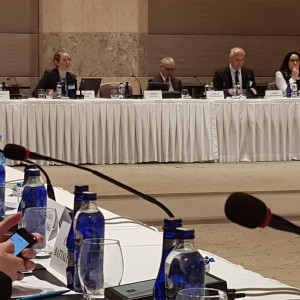 On to Panel on the #RCC-commissioned Study: Cyber Security and Online Radicalization – New Virtual Battlefield with @amer_kap introducing it & @SbradyInt presenting