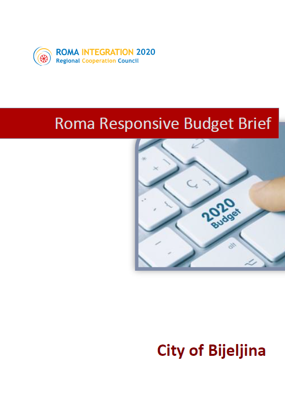 Policy Brief Roma Responsive Budgeting Bosnia and Herzegovina, City of Bijeljina, 2019