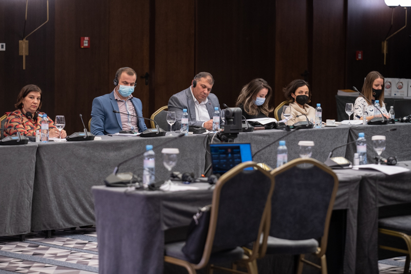 Sixth Task Force Meeting (Photo: Nemanja Brankovic)