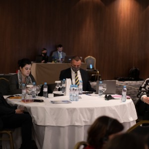 Regional Conference: Impact of Covid-19 on Roma in the Western Balkans (Photo: Nemanja Brankovic)