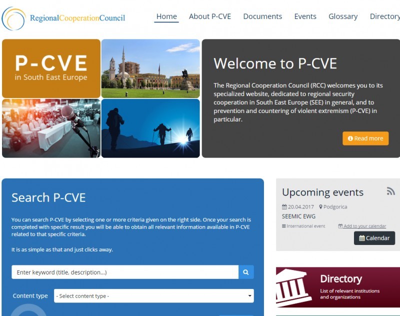P-CVE Webiste screenshot