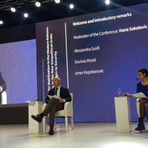 Kapetanović: Over-securitisation of illegal immigration can be dangerous, but neglecting its detrimental potential can be equally dangerous too