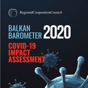 Balkan Barometer 2020: Covid-19 impact assessment