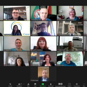 “Improving Social Partner Involvement in Tackling Undeclared Work” in the Western Balkans, webinar held on 19 April 2021 (Photo: RCC/ESAP2)
