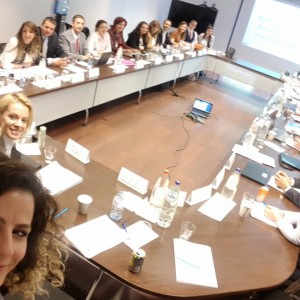 RCC’s SEEIC - CEFTA Joint Working Group on Investments working on the finalisation of the Regional Investment Reform Agenda (RIRA) deliverable for Poznan Summit at the meeting in Brussels, 23 May 2019 (Photo: RCC/Ivana Gardasevic) 
