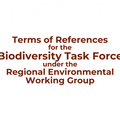 Terms of References for the Biodiversity Task Force under the Regional Environmental Working Group 
