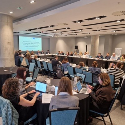 Participants of the Extended Meeting of the Regional Working Group on the Green Agenda for the Western Balkans on WB6 Climate Adaptation Strategy, 26 March 2026 (Photo: RCC)