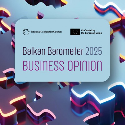 Balkan Barometer 2025: Business opinion
