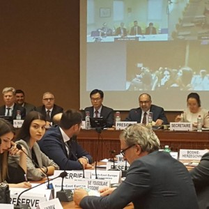 The Investment Policy Review of South East Europe, conducted by the UNCTAD with the support of the RCC, has been presented on 21 November 2017 in Geneva. (Poto: Ivana Gardasevic)