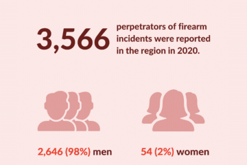 Armed Violence Monitor – Perpetrators of Firearm Incidents in South East Europe in 2020