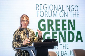 Bregu: Region should remain steadfast on sustainable, green transition and decarbonisation path