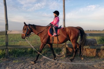 New horseback riding route running through Western Balkans takes visitors from Vojvodina in the north to Hercegovina in the south (Photo: Palic Cluster)