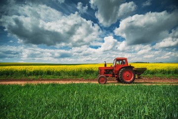 Worker in field (Photo: Shutterstock)