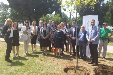 Establishing Regional Working Group on Environment ended with a memorable tree-planting ceremony. Podgorica, 18 May 2015. (Photo: RCC/Srdjan Susic)