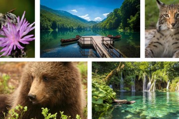 On Biodiversity Day, we are celebrating biological diversity of the Western Balkans 