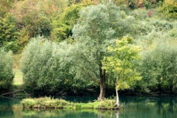 RCC supports protection of endangered habitats and species in South East Europe. (Photo RCC/Vildana Becirevic)