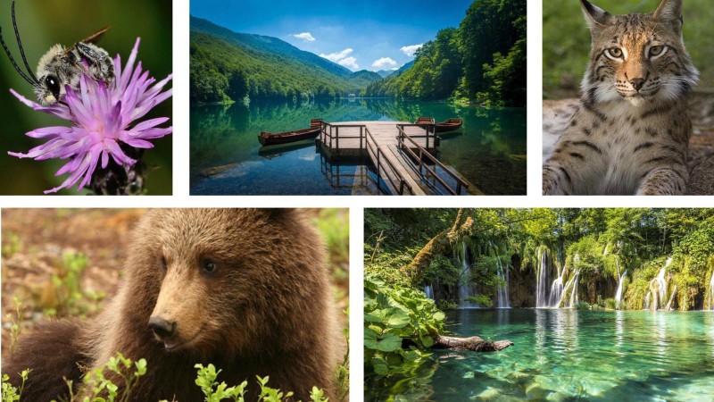 On Biodiversity Day, we are celebrating biological diversity of the Western Balkans