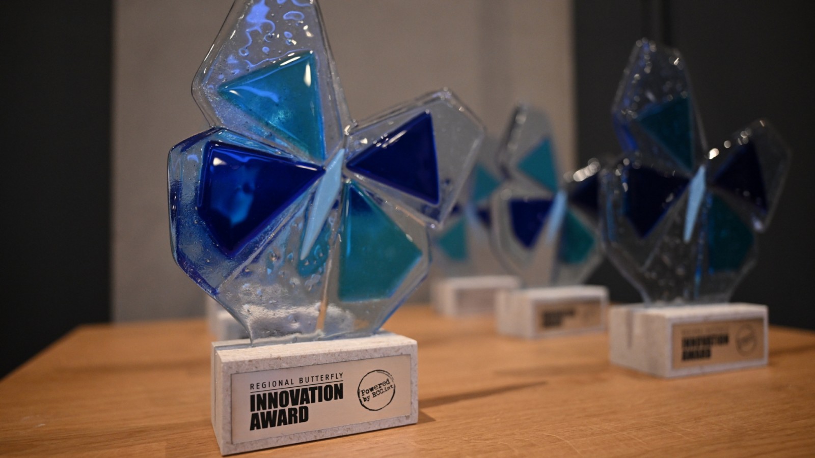 Butterfly Innovation Forum 2025!