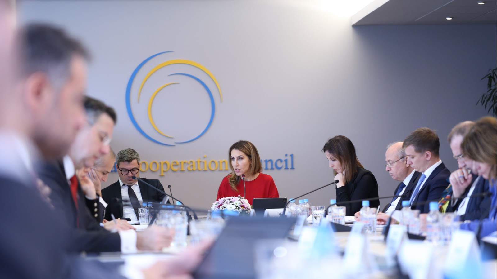 RCC SG at the 50th RCC Board meeting