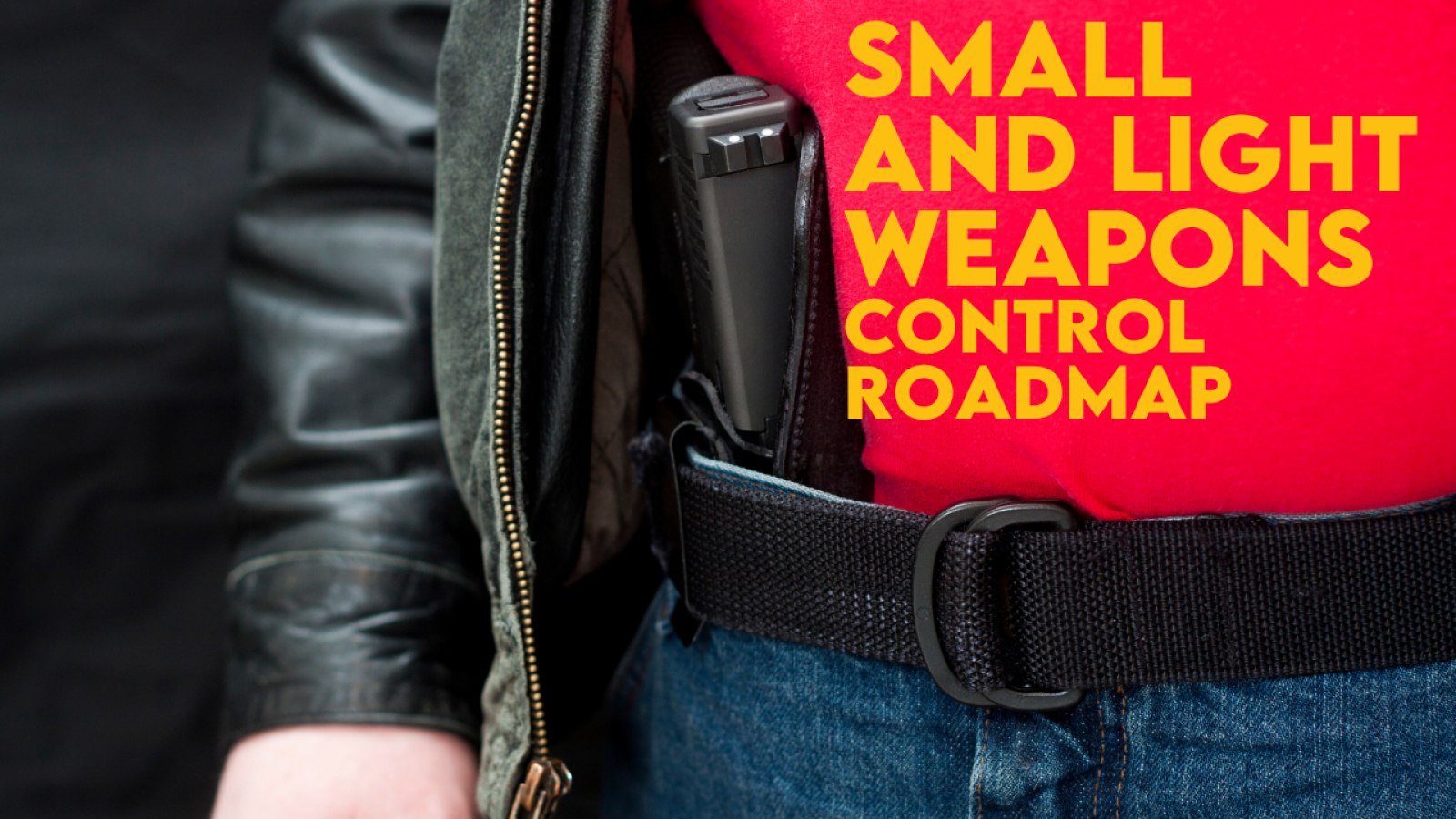 Small and Light Weapons control roadmap