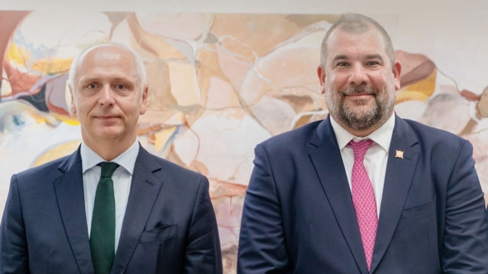 SEEMIC meets under RCC auspices 