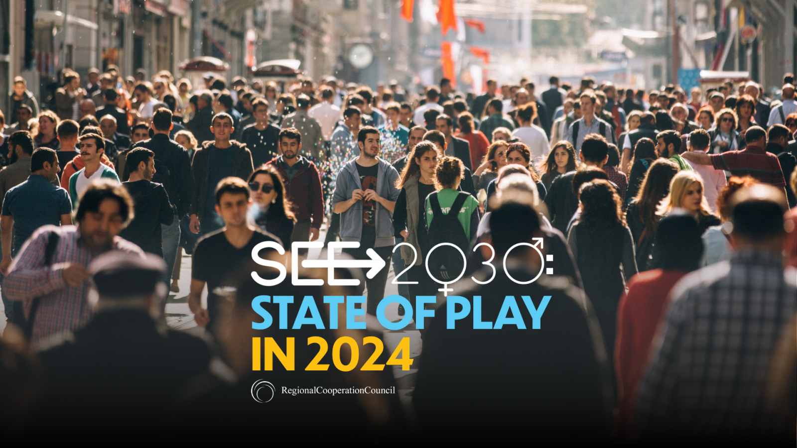 SEE2030 Strategy: State of play in 2024
