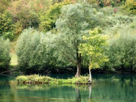 RCC supports protection of endangered habitats and species in South East Europe. (Photo RCC/Vildana Becirevic) RCC supports protection of endangered habitats and species in South East Europe. (Photo RCC/Vildana Becirevic)