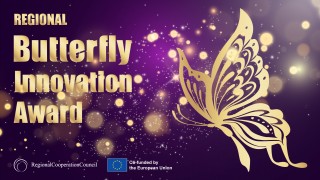 Imagine. Innovate. Create: RCC Launches Western Balkans Butterfly Innovation Award